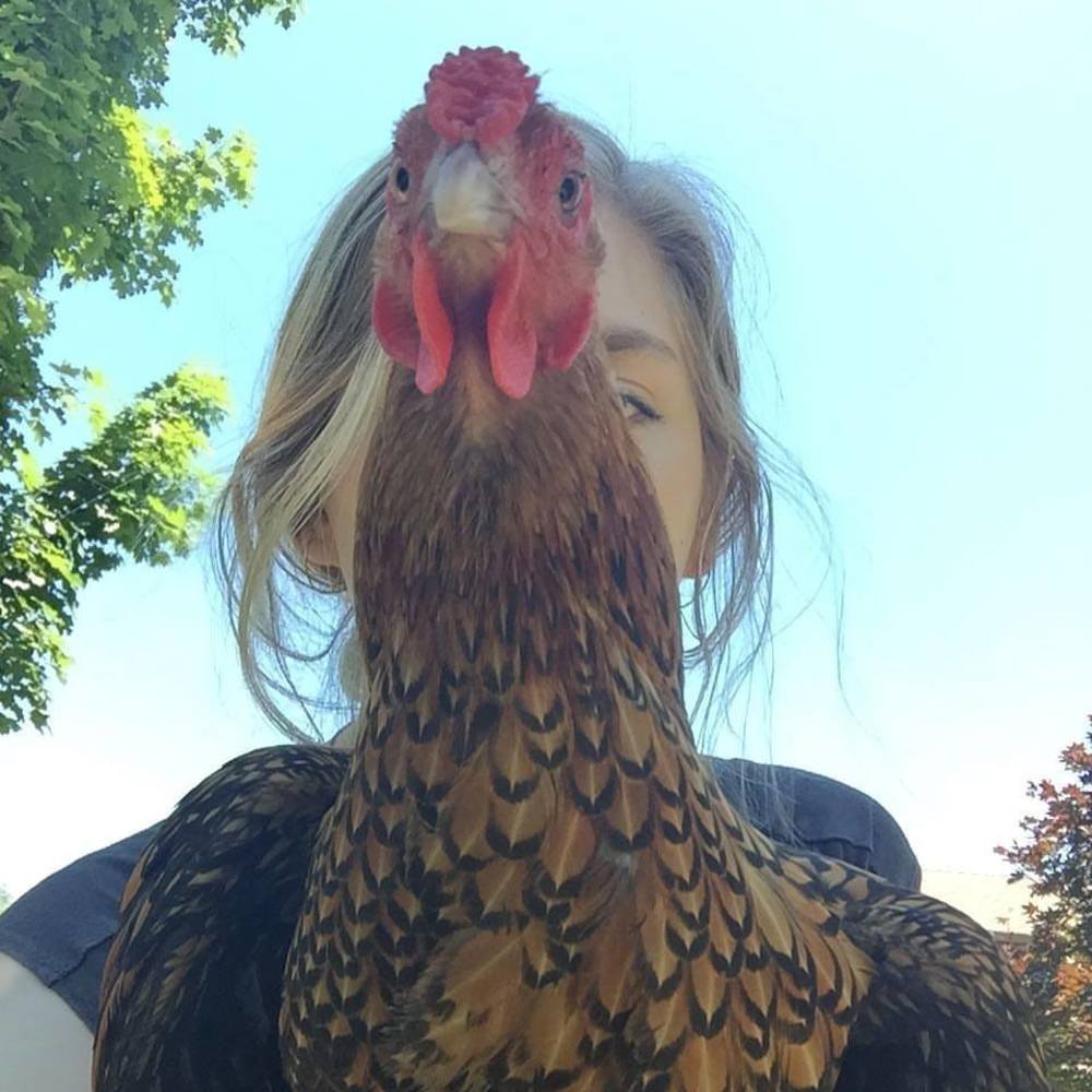 Meet your Posher, Britt